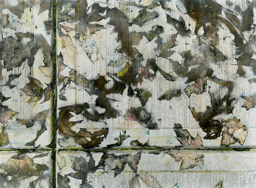Indelible #6