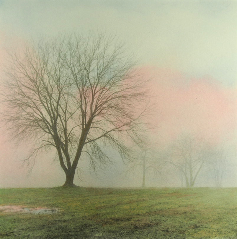 Rolling Fog #3